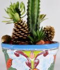 Christmas Cactus Arrangement