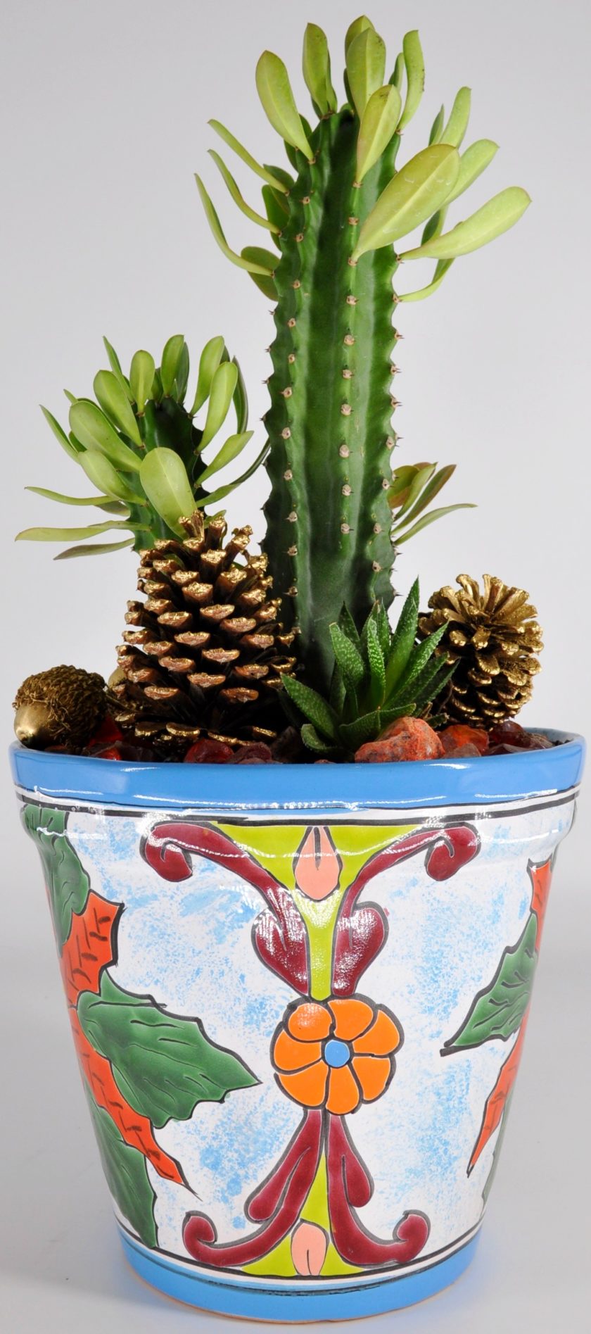 Christmas Cactus Arrangement