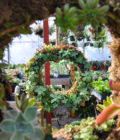 Succulent Wreath